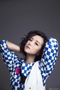 娱乐爆料何洁视频大全最新,娱乐爆料背后的真实故事  第3张